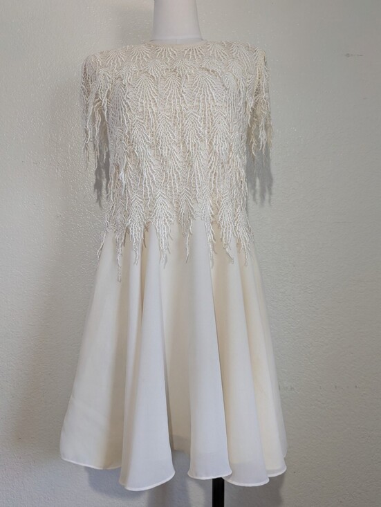 Night Way Collections Dresses & Skirts - Night Way Collections Cream Lace Dress with Embroidery Fringe Details 10 Petite
